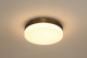 Purgos LED Flush Mount (49914-016)