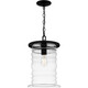 Quoizel - NAD1510MBK - One Light Mini Pendant - Noland - Matte Black