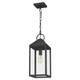 Thorpe One Light Mini Pendant