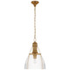 manufacturer_finish:Antique-Burnished Brass|manufacturer_glass:Clear Glass