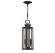 Hawthorne Two Light Outdoor Hanging Lantern (L5-5103-BK)