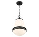 Endura One Light Pendant (L7-7950-1-89)