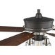 Teasley 56``Ceiling Fan (P250004-143)