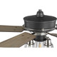 Teasley 56``Ceiling Fan (P250004-143)
