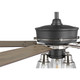 Teasley 56``Ceiling Fan (P250004-143)