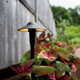 LED Path Light (15870)