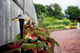 LED Path Light (15870)