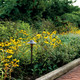LED Path Light (15870)