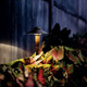 manufacturer_finish:Textured Architectural Bronze|color_temperature:2700K