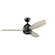 Vassar 52"Ceiling Fan (330002SBK)