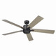 Lucian Elite XL 60"Ceiling Fan (330060SBK)
