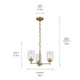 Winslow Three Light Mini Chandelier (44029NBR)