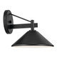 Ripley One Light Outdoor Wall Mount in Black (12-49060BK)