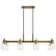 Aivian Eight Light Linear Chandelier (52400WBR)