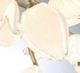 Belluno LED Chandelier (10115-03)