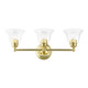 Moreland Three Light Vanity Sconce (16943-02)