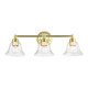 Moreland Three Light Vanity Sconce (16943-02)