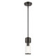 Quincy One Light Mini Pendant (17140-46)