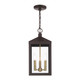 Nyack Three Light Outdoor Pendant (20593-07)