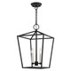 Livex Lighting - 49433-04 - Three Light Convertible Semi Flush/Lantern - Devone - Black w/ Brushed Nickels