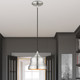 Endicott One Light Pendant (55901-91)