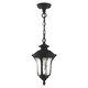 Oxford One Light Outdoor Pendant in Textured Black (107-7849-14)