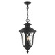 Livex Lighting - 7858-14 - Three Light Outdoor Pendant - Oxford - Textured Black