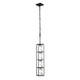 Plaza Four Light Foyer Pendant (325F04CBHG)