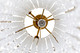 Lafayette Seven Light Chandelier (359C07HG)