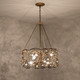 Ethereal Rose Six Light Chandelier (500C06HGOB)