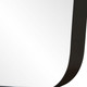 Caspian Mirror (09977)