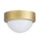 Lennon LED Flush Mount (DFC20)