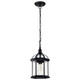 Boxwood One Light Hanging Lantern in Textured Black (72-60-4979)