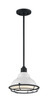 Newbridge One Light Pendant in Gloss White / Black (72-60-7023)