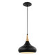 Phoenix One Light Pendant (60-7511)