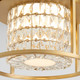 Elan LED Ceiling Mount (3-675-40)