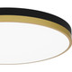 manufacturer_finish:Matte Black Gold