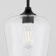Raymond One Light Pendant in Matte Black (19-3313-59)