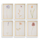 Uttermost - 32384 - Framed Print - Wild Flourish - White Wood