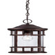 Acclaim Lighting - 31946ABZ - One Light Hanging Lantern - Vista II - Architectural Bronze
