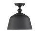 Berg One Light Semi-Flush Mount (6-3750-1-89)