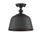 Berg One Light Semi-Flush Mount (6-3750-1-89)