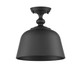 Berg One Light Semi-Flush Mount (6-3750-1-89)