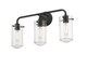 Delaney Three Light Vanity (471-3V-MB)