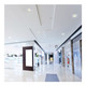 LED Downlight (S21610)
