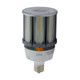 Light Bulb (S13143)