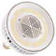 Light Bulb (S13151)