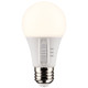 Light Bulb (S11775)
