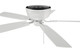 Pro Plus Hugger 52 52" Ceiling Fan (PPH52W5)