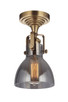 manufacturer_finish:Vintage Brass|manufacturer_glass:Smoked Clear|light_source:Incandescent